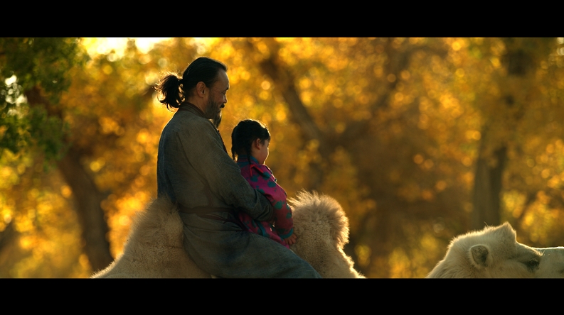 电影梭梭草蚂蚁森林种梭梭有故事啦