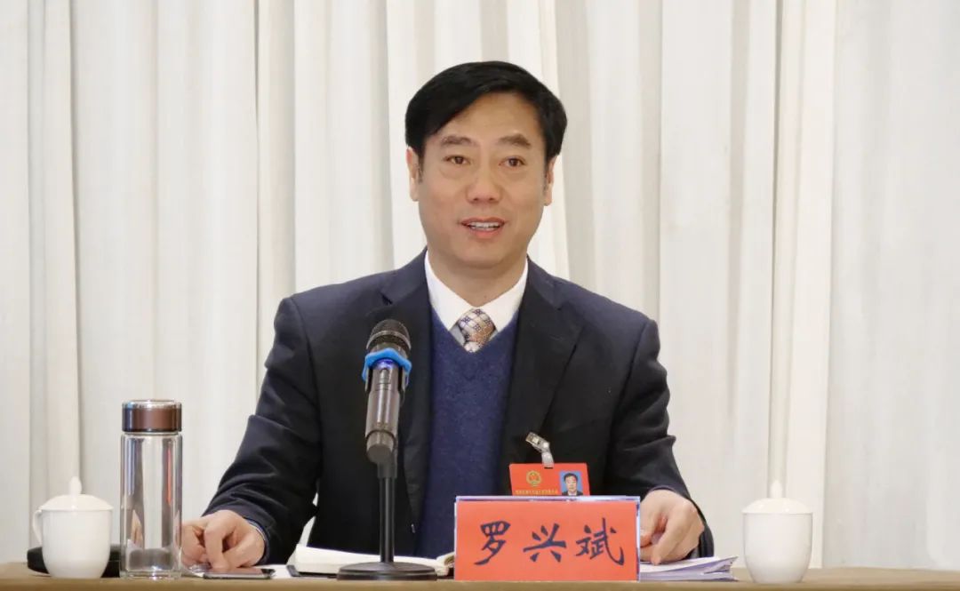 罗兴斌参加南漳县第十九届人民代表大会第一次会议九集镇代表团审议