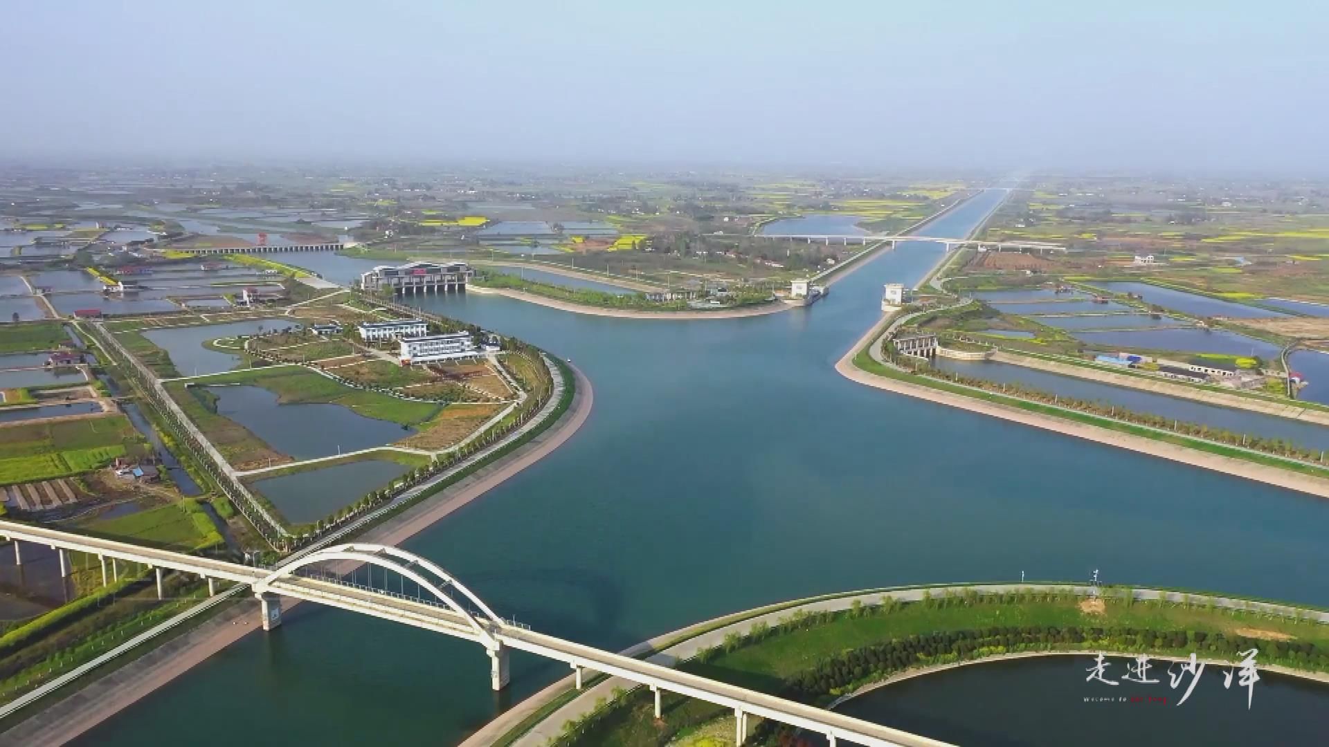 家住长江边之走进沙洋漫游油菜花海饱览落樱缤纷