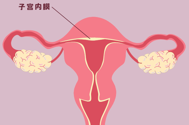 子宫内膜增厚是怎么回事?要紧吗?和癌有关吗?