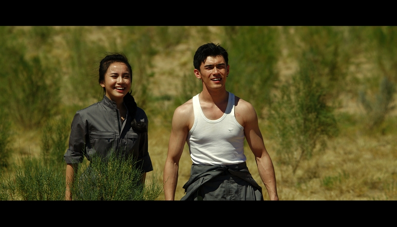 电影梭梭草蚂蚁森林种梭梭有故事啦