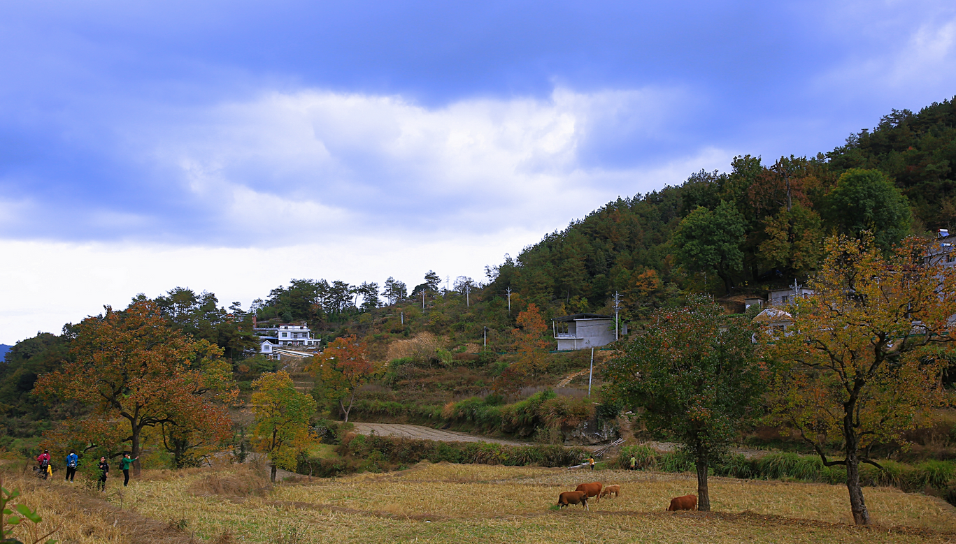 极美湖北每日一景丨黄冈罗田潘家湾村