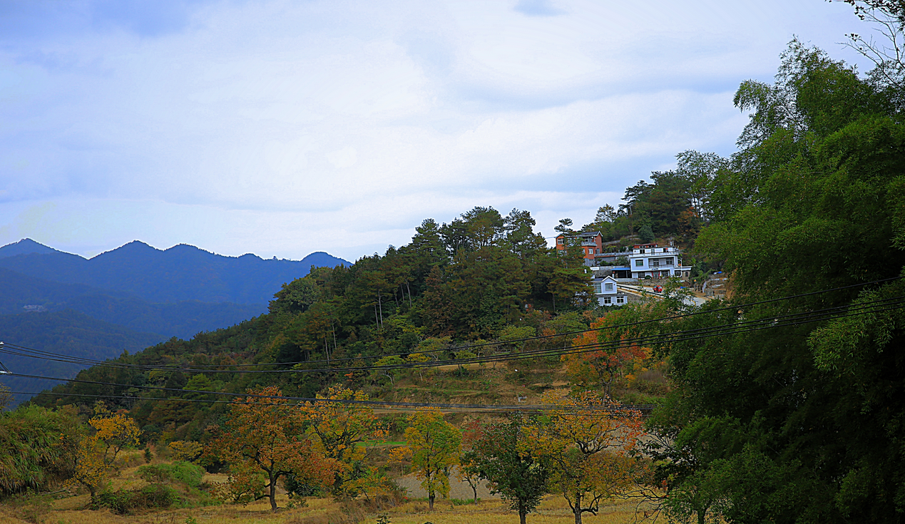 极美湖北每日一景丨黄冈罗田潘家湾村