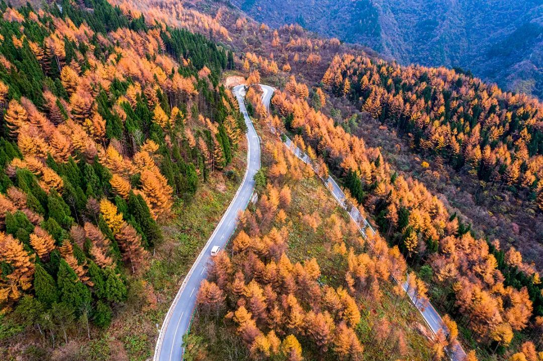 11月,看湖北,万山红遍!
