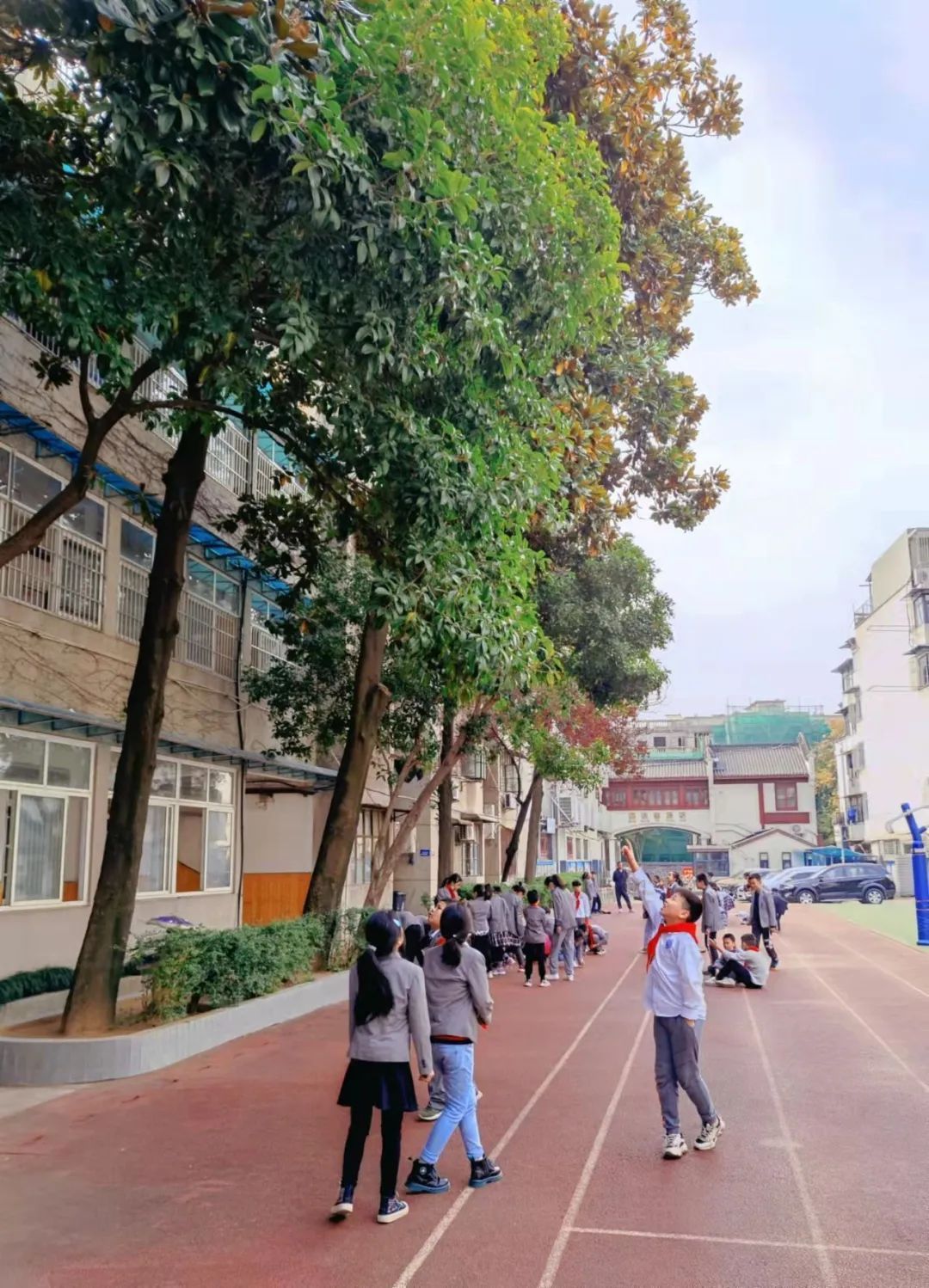 桂花开了》水果湖第一小学 佚名《美丽秋景》四美塘幼儿园 彭慧《一叶