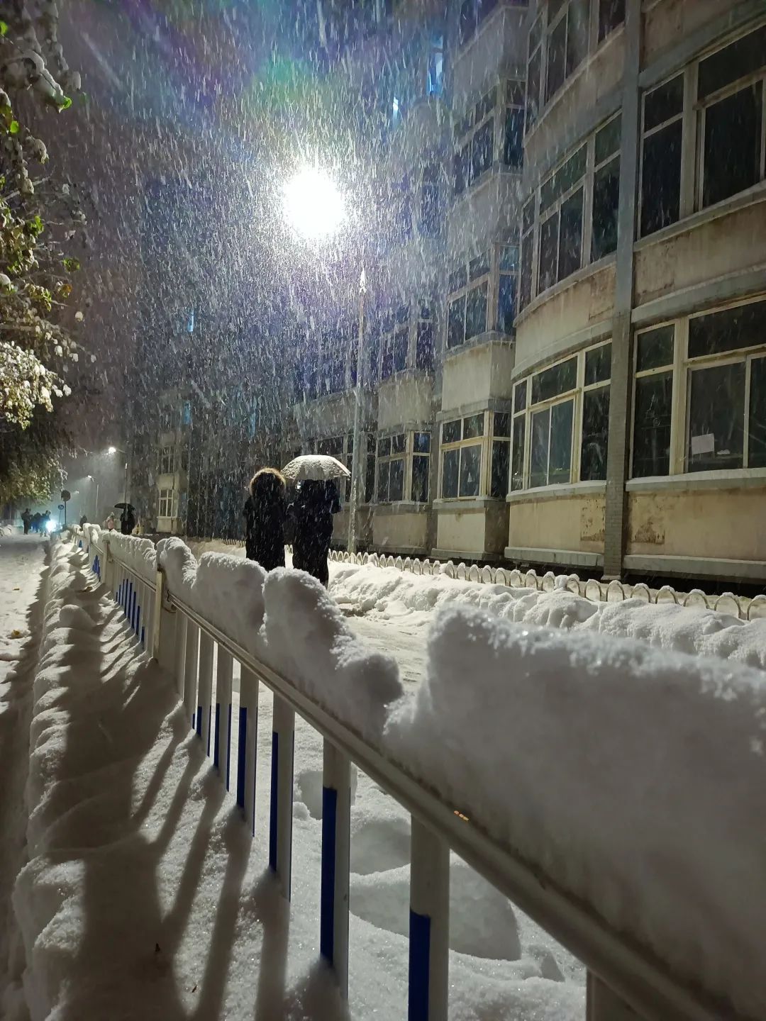 东北农业大学雪景图片