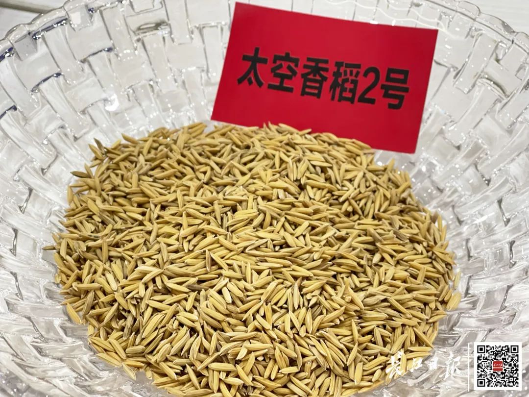 太空种子降落武汉