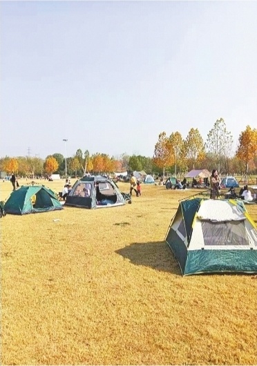 周末到公园搭帐篷被劝止记者探访这些公园允许游客搭帐篷
