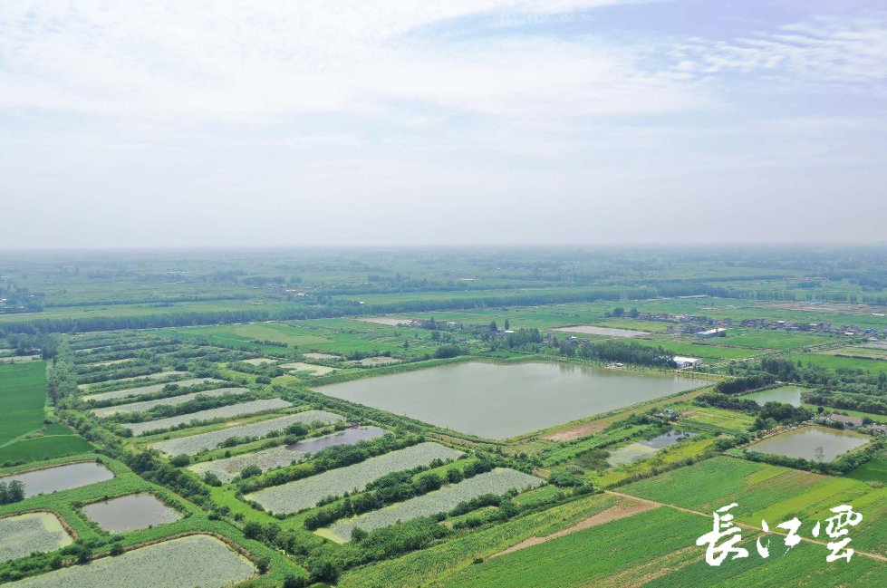 总投资226亿元天门岳口镇全域国土综合整治项目启动