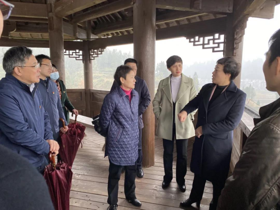 湖北省人社厅调研恩施州在咸丰县龙坪村宣讲党的十九届六中全会精神