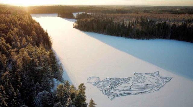 芬兰艺术家用铲子在冰面上画出90米长巨狐
