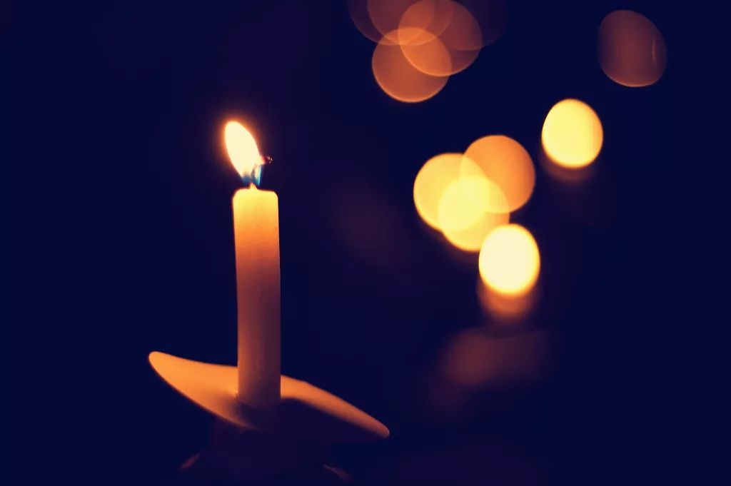 佛灯下他应该是草虫的主人两只草虫正在交配我无言以对,看见茶案上的