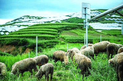 二〇二一从十大热词看生态环境