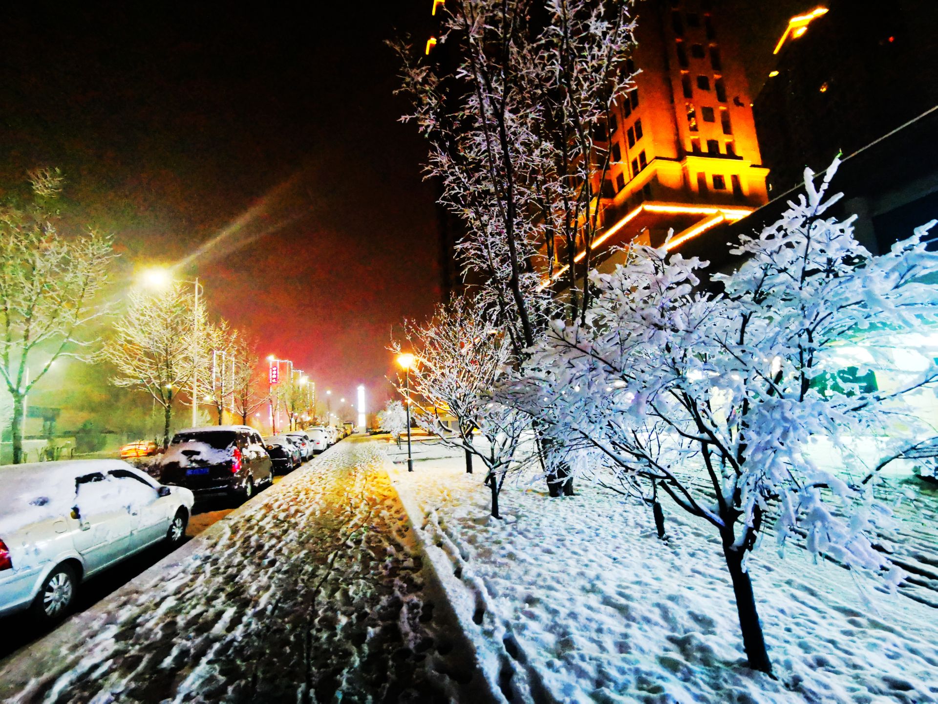 真实雪景图片夜晚图片