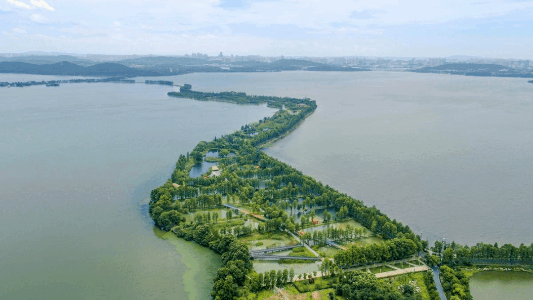 武汉东湖景园图片