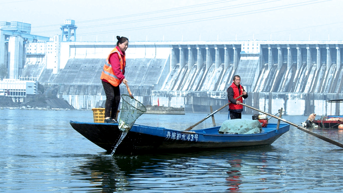 76岁的渔民吴宗春冒着酷暑,独自划桨七八公里水路,把自家的渔船送到