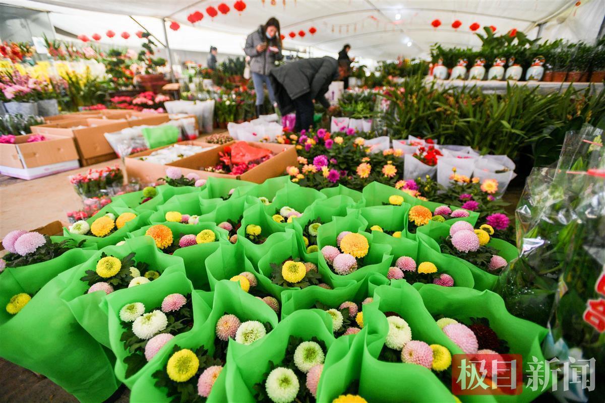 武漢花博園第六屆迎春花市開市