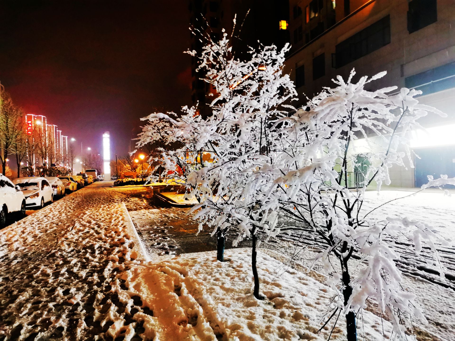 极美湖北每日一景丨湖北十堰璀璨灯光与雪景相映