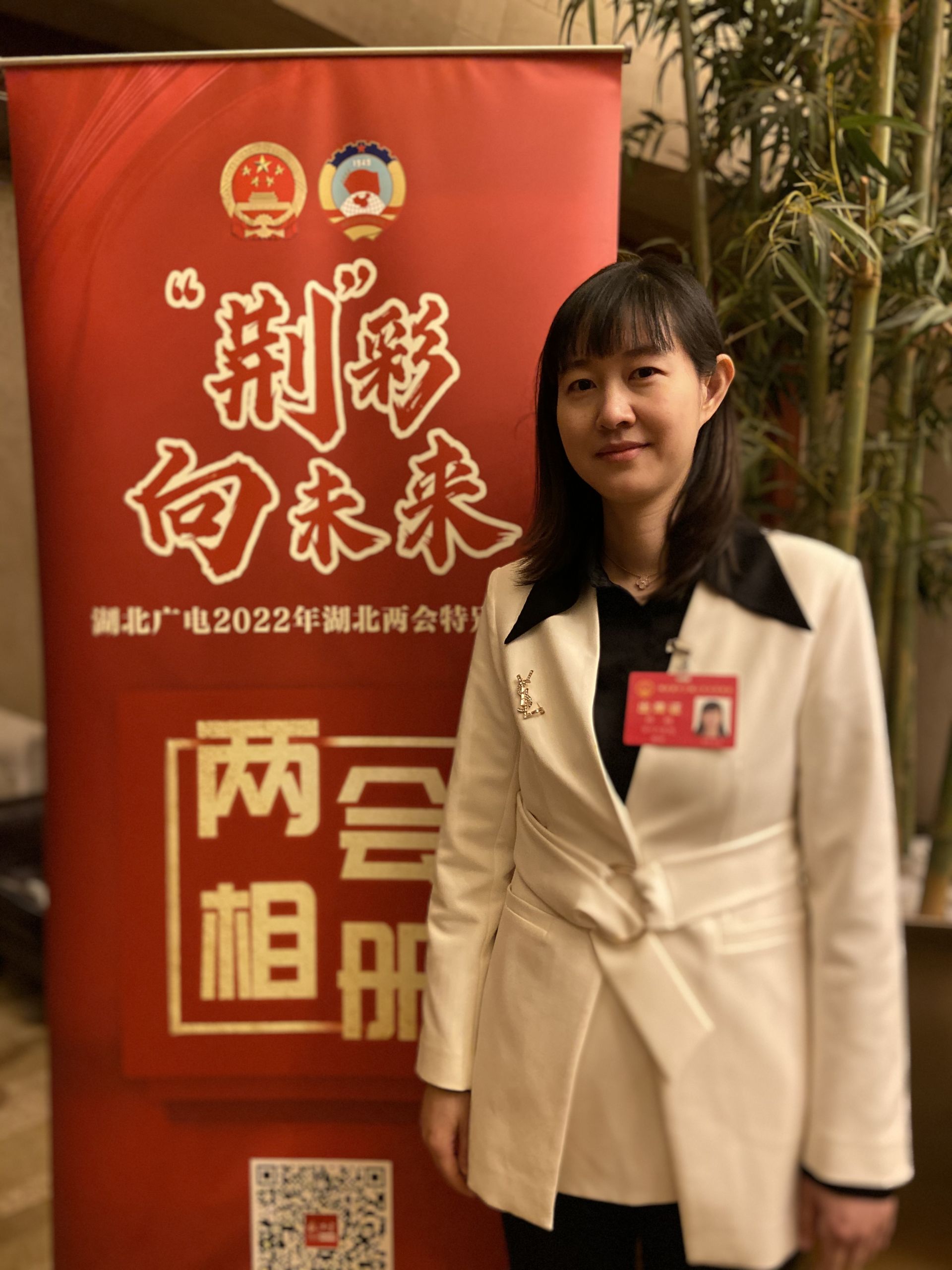 湖北省人大代表林颖推进武汉城市圈科技创新协同发展02构建区域创新