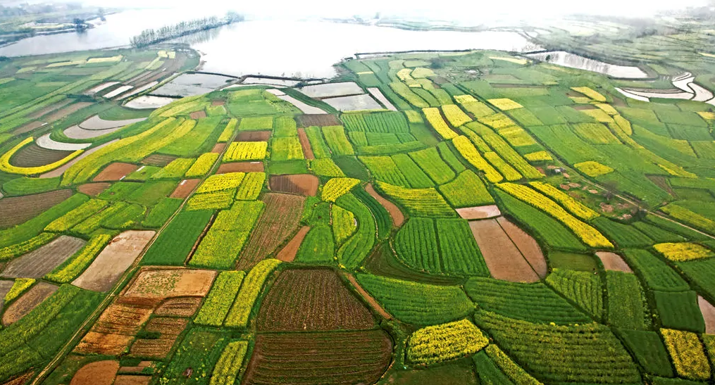 由江汉平原的湿冷引起的思考