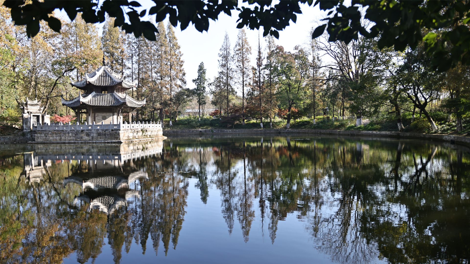 极美湖北每日一景丨湖北襄阳满园美景关不住青山绿水惹人醉