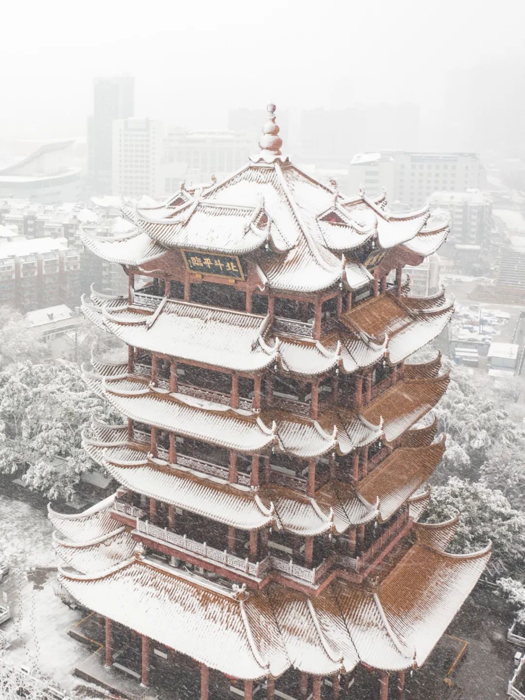 虎年首场大雪下出了武汉冬季限定浪漫