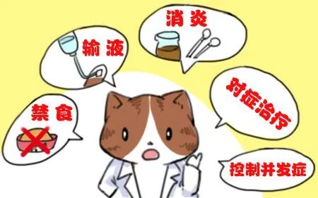 小心"祸从口入"!春节前后警惕急性胰腺炎_长江云 - 湖北网络广播电视