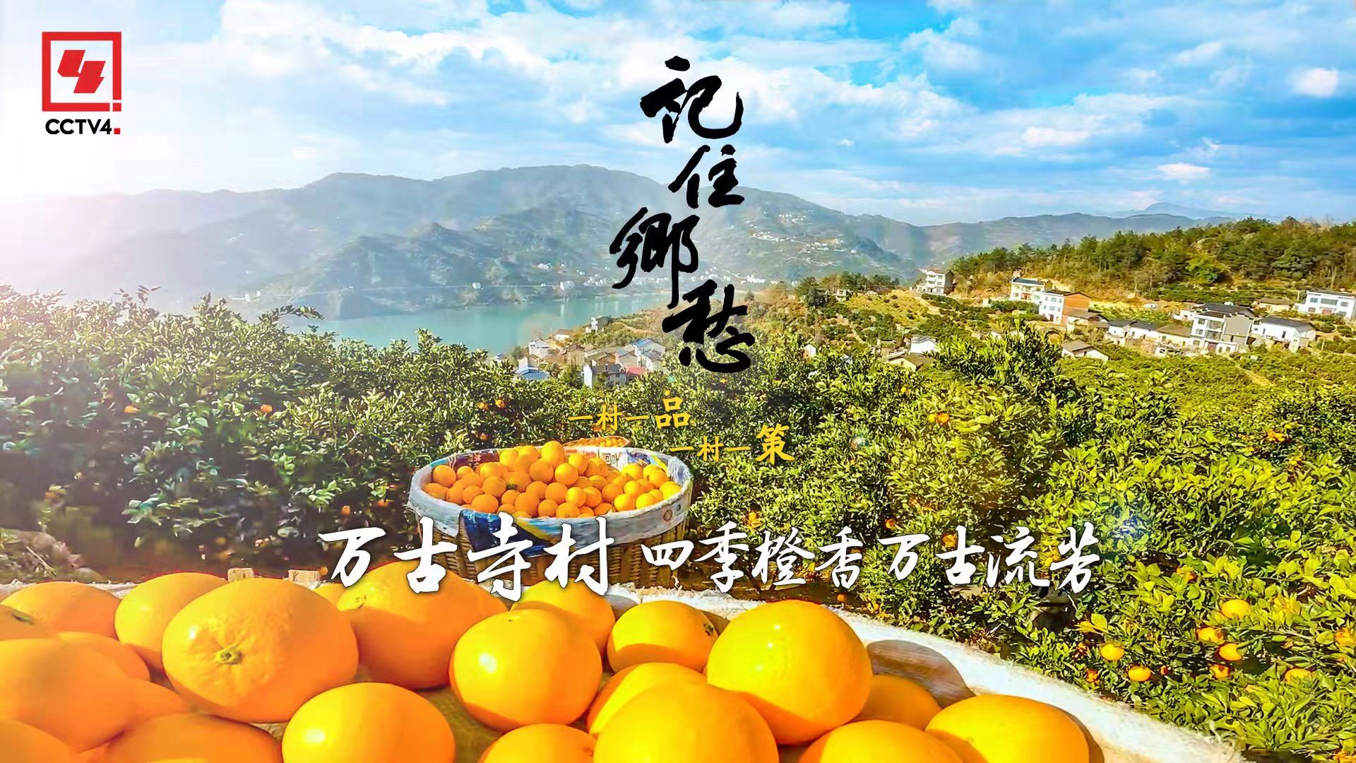 今晚cctv4首播万古寺村四季橙香万古流芳