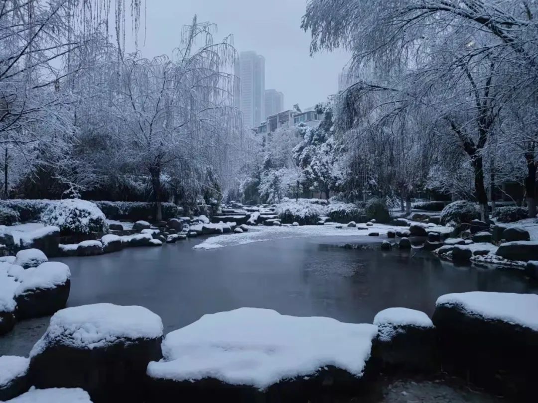 下雪天朋友圈摄影大赛有你没看到的雪