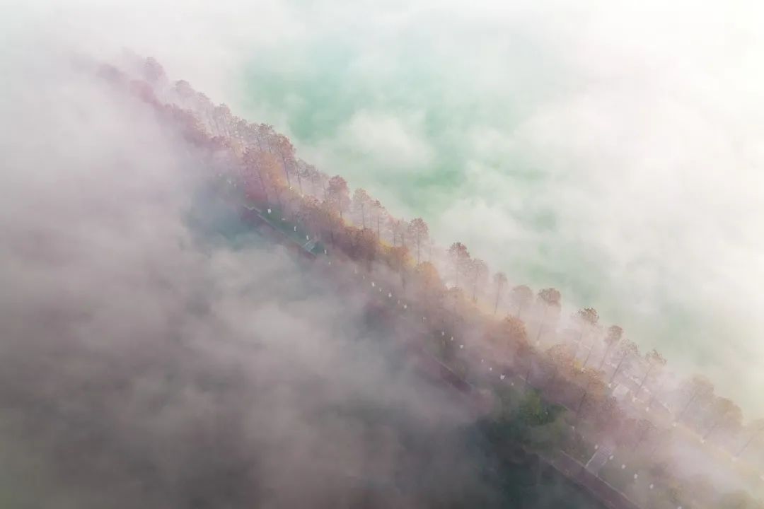 大雾四起武汉东湖美成一首朦胧诗