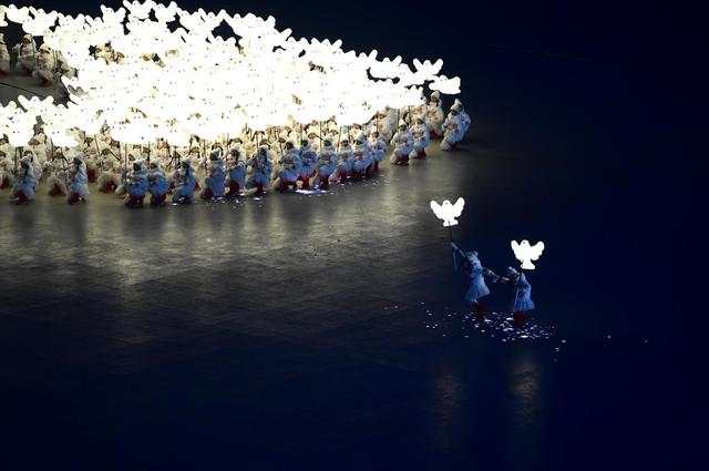冬奥会和平鸽掉队图片