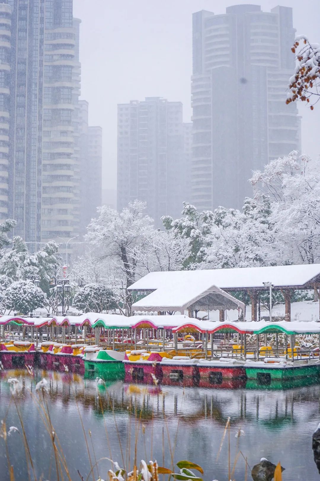 武汉雪景图片