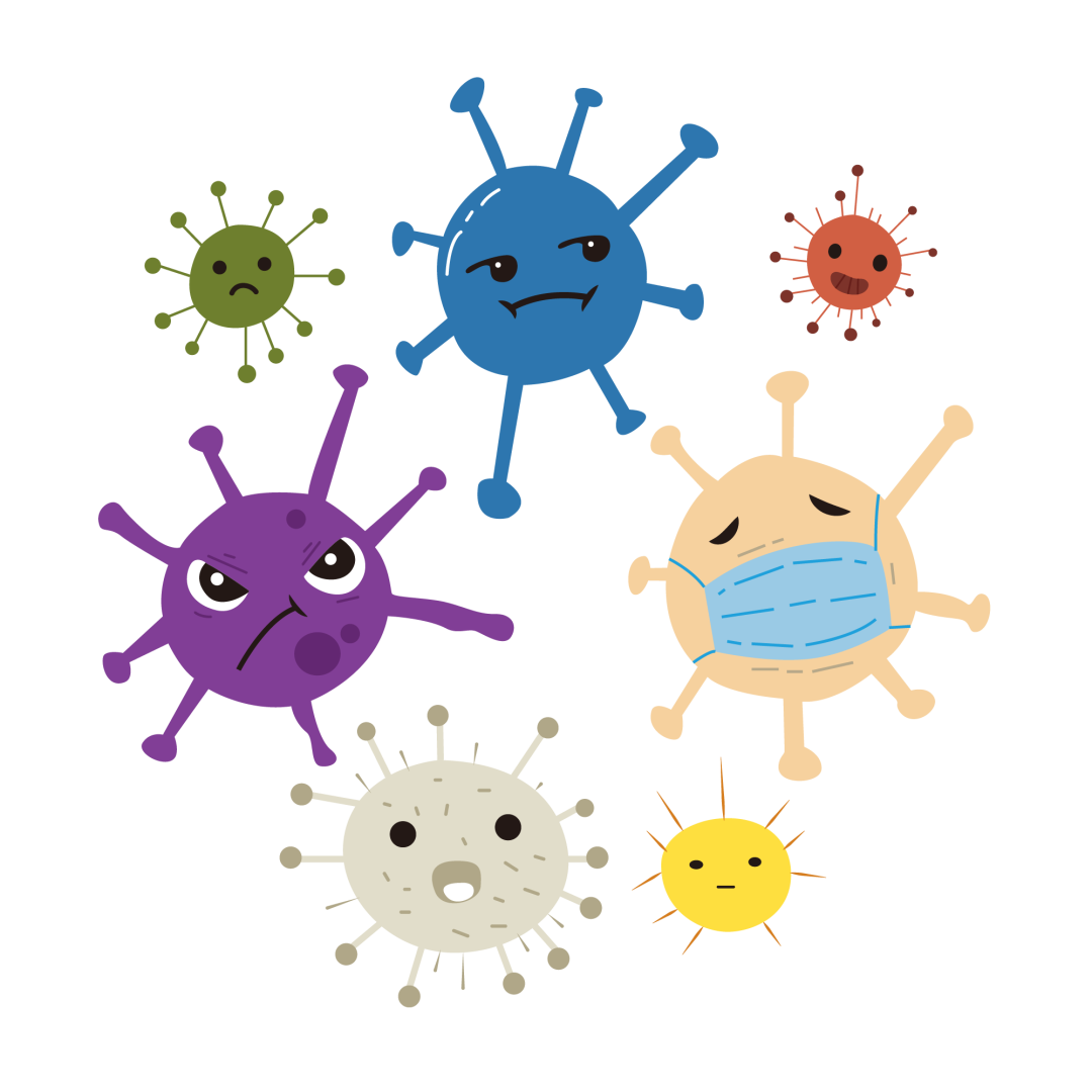 上行感染感染途径5.男性前列腺收缩使前列腺液排至后尿道有杀菌作用4.