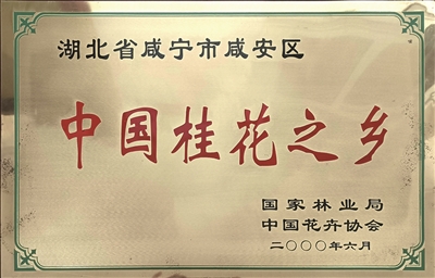 ϸһ仨𻨳ǺʡƷ