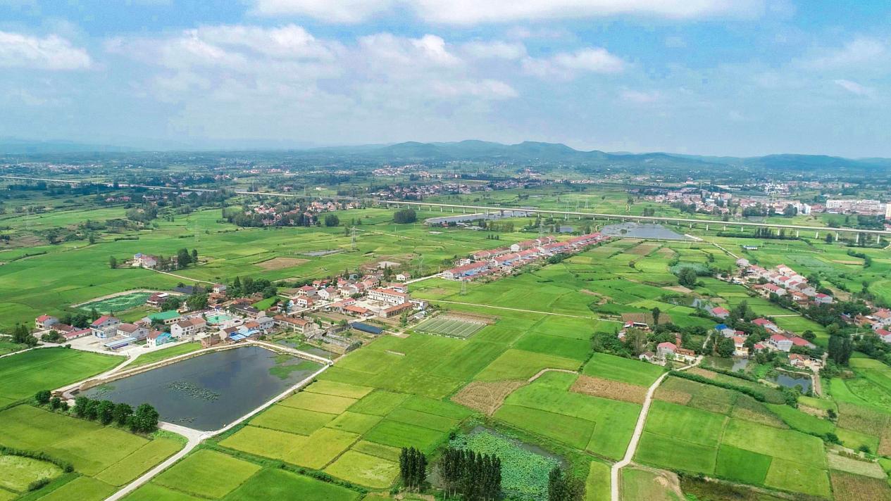 小院,生动多彩的墙绘……阳春三月,走进湖北省南漳县九集镇良种场村