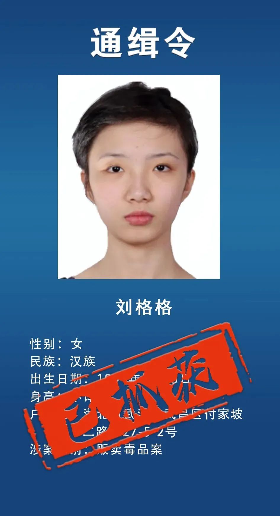 通缉令发出不到48小时7人归案