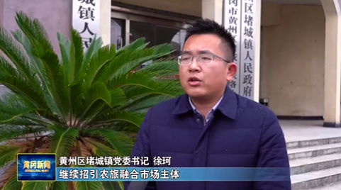 黄州区堵城镇党委书记 徐珂:继续招引农旅融合市场主体,注入文化旅游