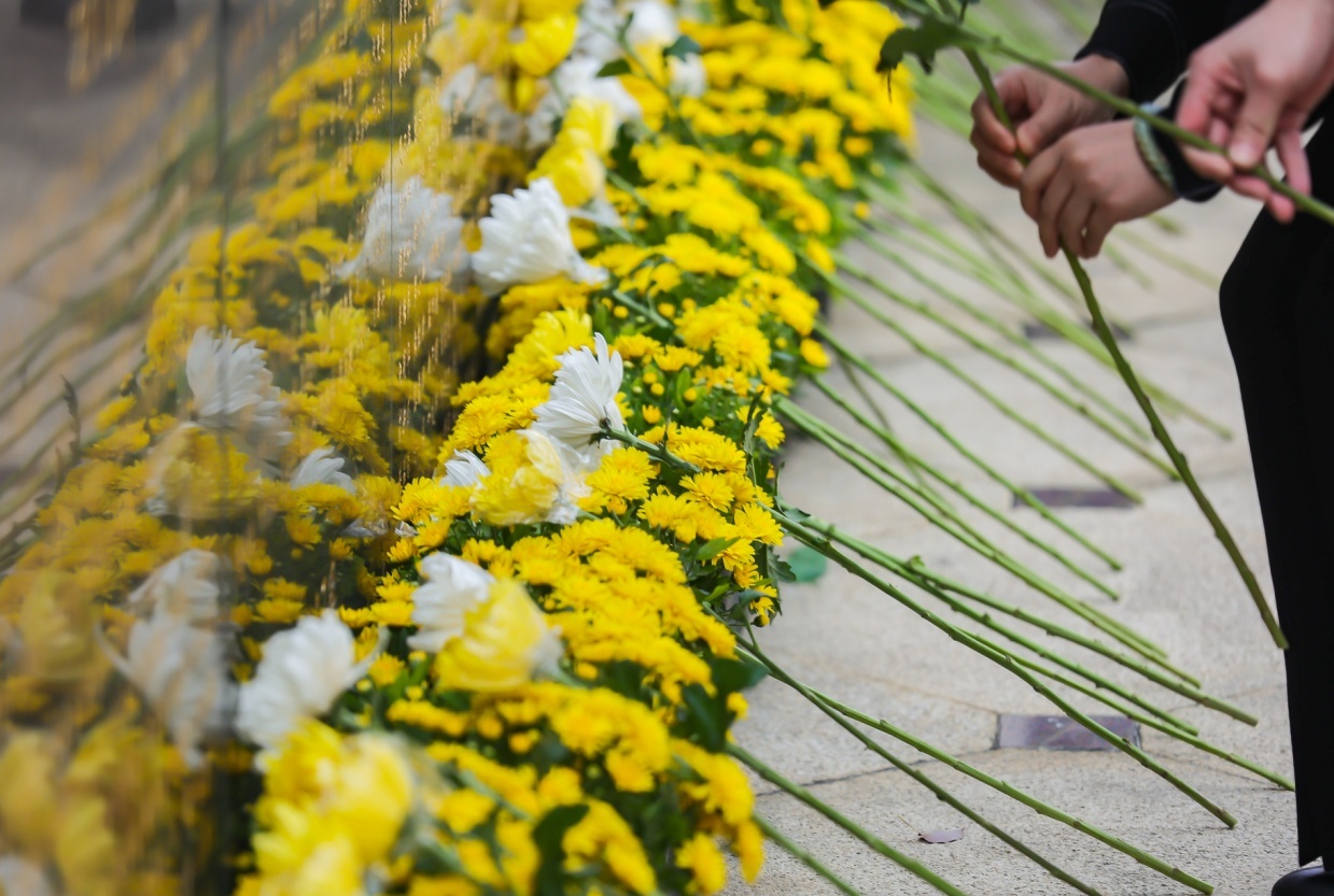 0401直播预告清明特别节目生命的意义器官捐献大爱无疆