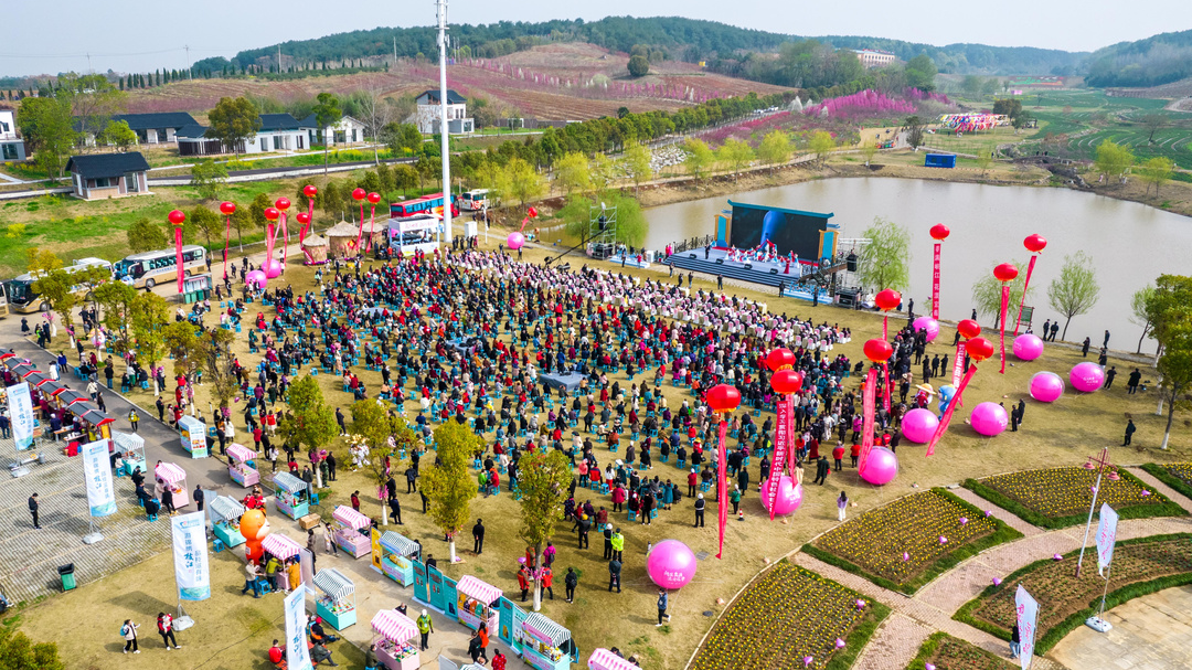 盛大啟幕在枝江市安福寺鎮東方年華暨第二十屆三峽·枝江桃花藝術節