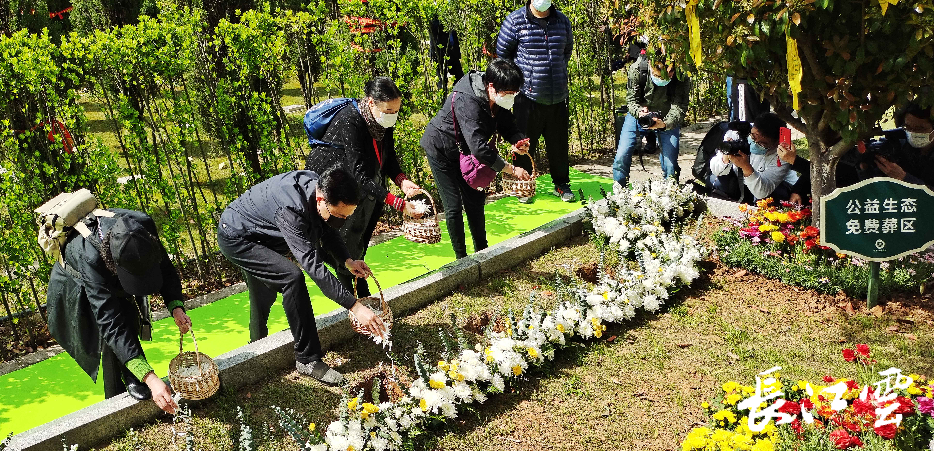 生命常綠四位逝者生態葬於龍泉山孝恩園綠色生態區