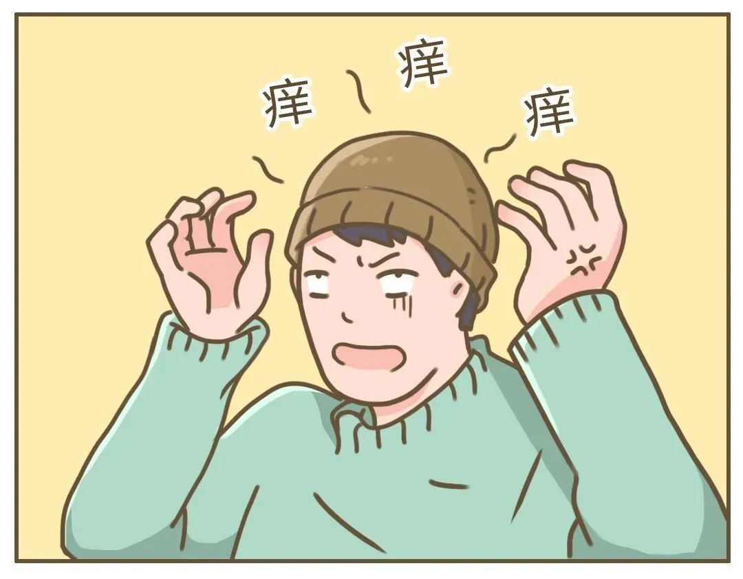 头又巨痒无比戴个帽子吧基本就告别「深色衣服」了被它骚扰的人就是