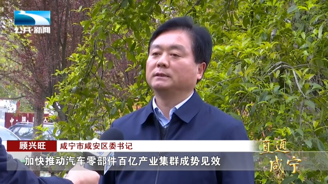 咸宁市咸安区委书记 顾兴旺:"发扬拼抢实的作风,积极融入光谷科创大