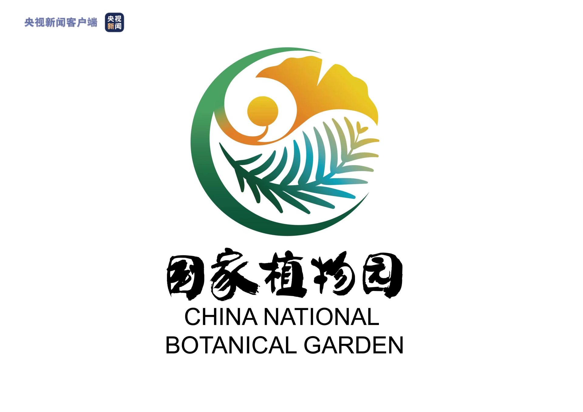 银杏水杉国家植物园标志设计方案大揭秘