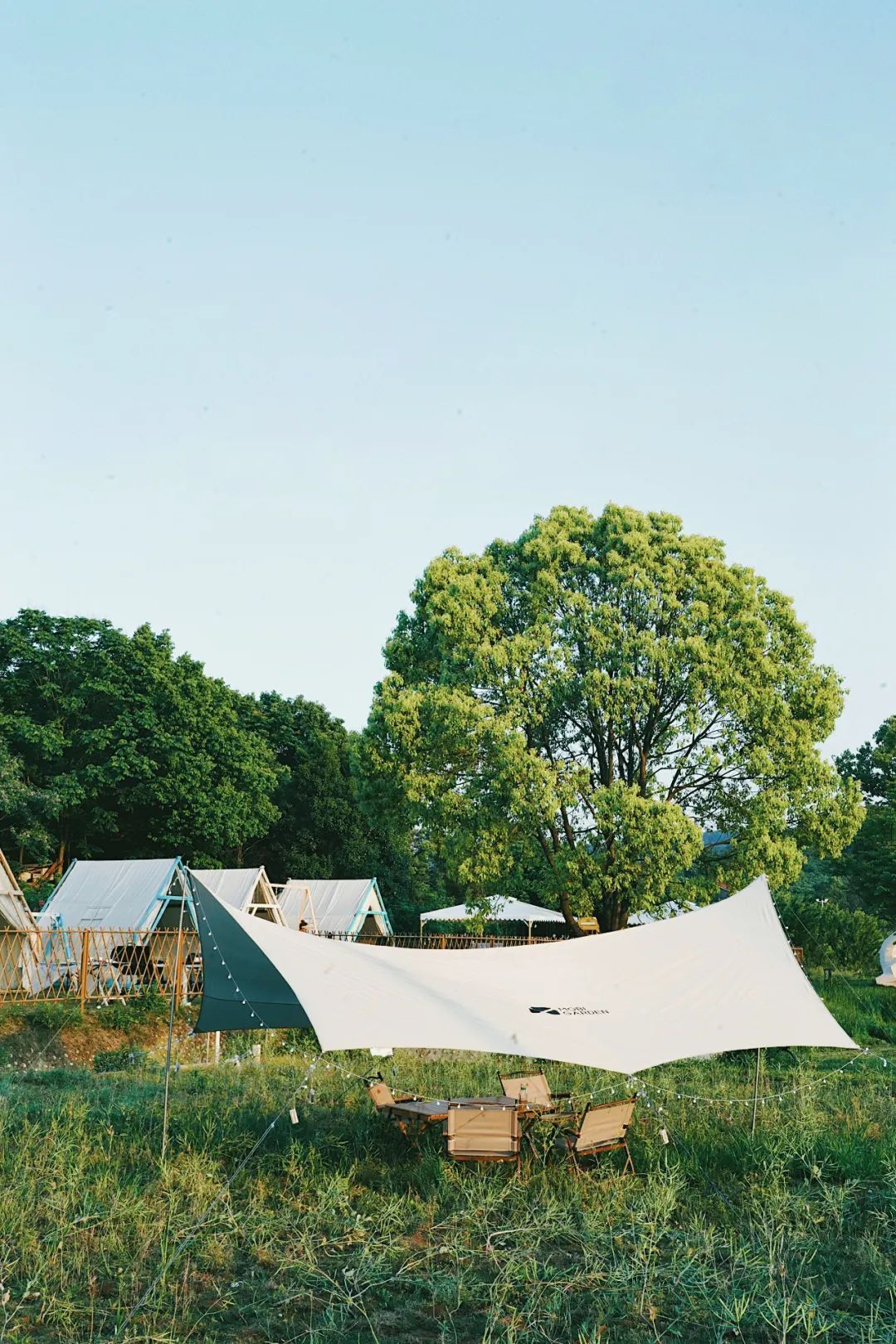 武汉这些宝藏露营地五一带上帐篷一起野