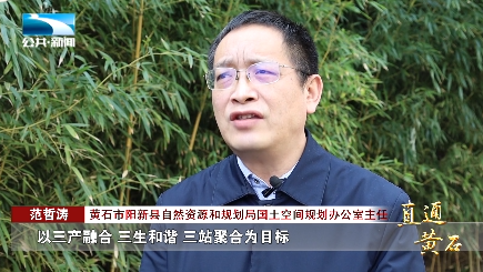 直通阳新城市更新发展旅游新型城镇化加速前进