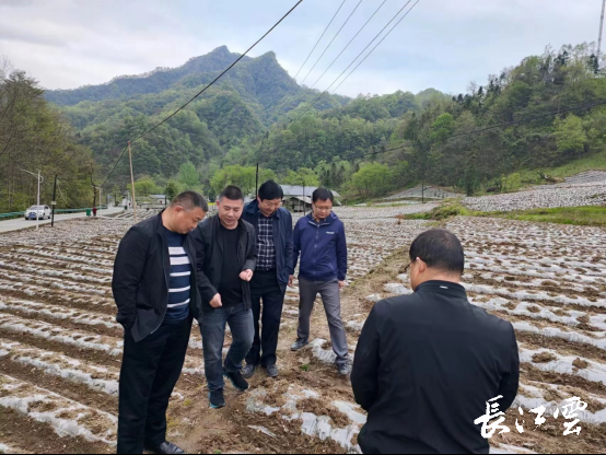 湖北十堰竹溪首富图片