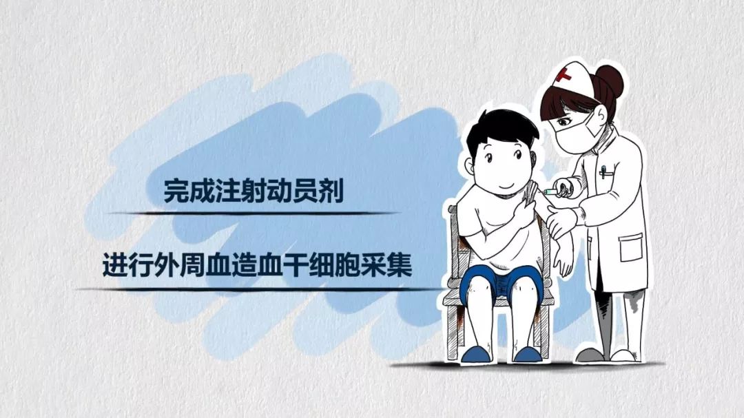 在注射动员剂后中华骨髓库会安排您进行体检高分辨检测相合后与患者的