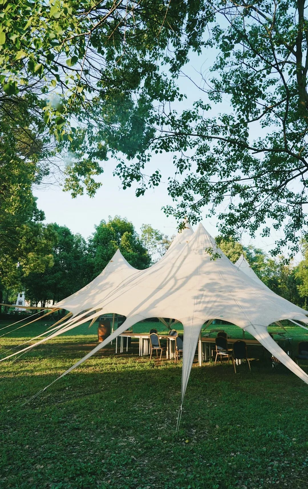 武汉这些宝藏露营地五一带上帐篷一起野