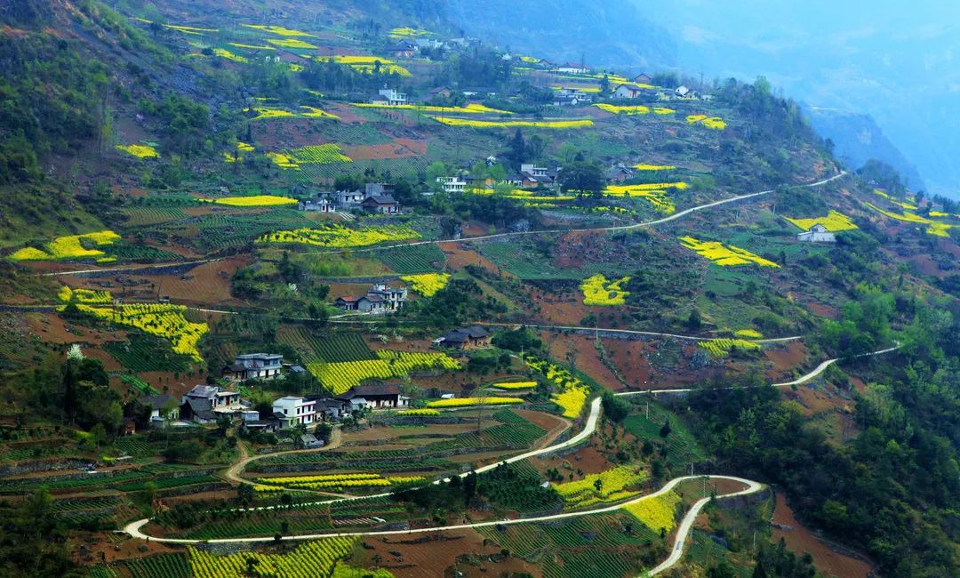 最美湖北茶园这个春天到五峰来一场和茶叶的邂逅