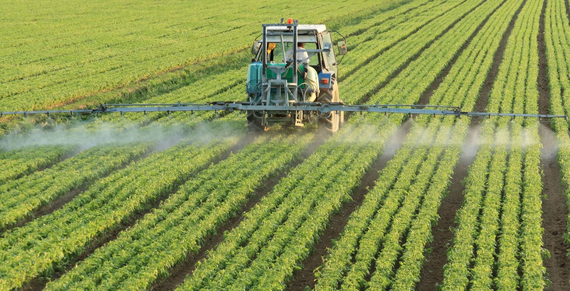 变变变变变湖北农业迎来变形计